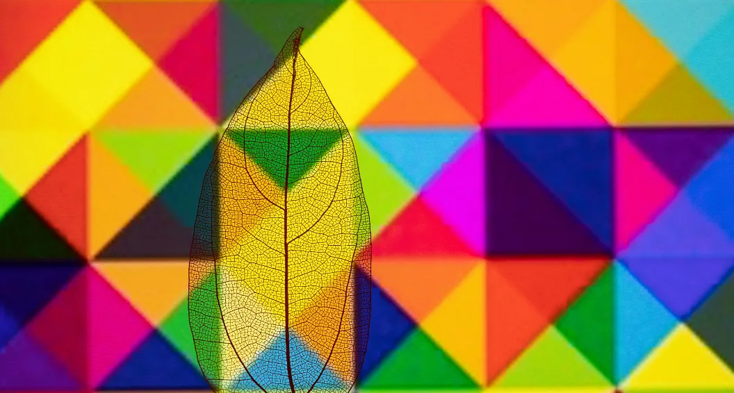 Professional Online Analysis Services