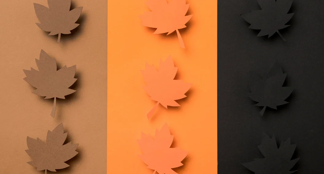 What Makes the Soft Autumn Color Palette Special