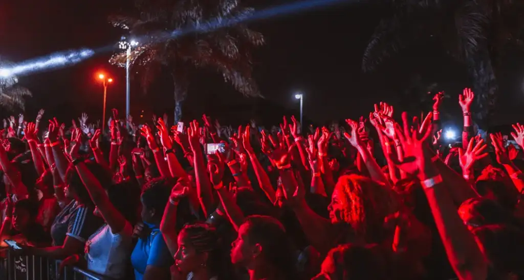 Genre-Specific Style Guidelines